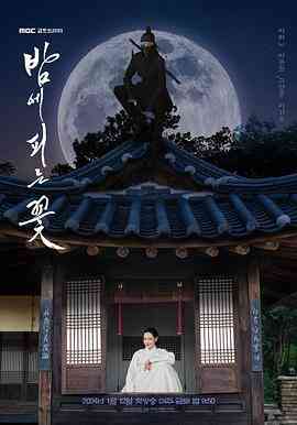 《夜晚开的花》免费在线播放｜喜剧,动作,古装·韩国